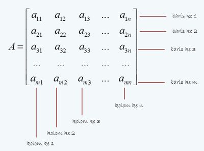 General Forms of Matrices