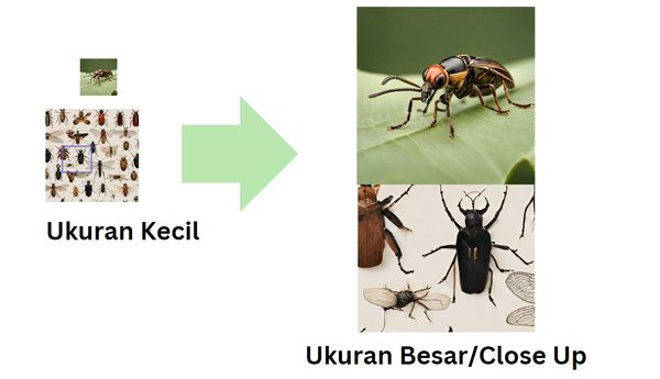 Dilated Illustrations