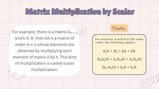 Matrix Multiplication Operations and Examples | Mathematics
